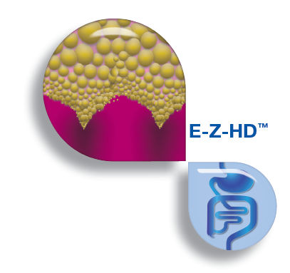 E-Z-HD
